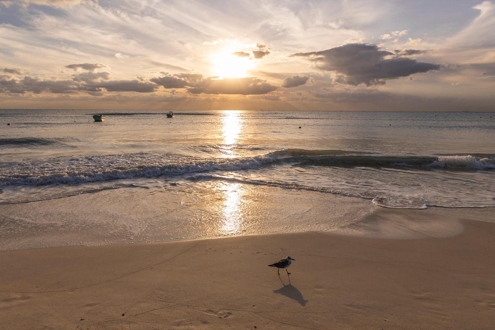 Areia - Front Lodge Playa del Carmen