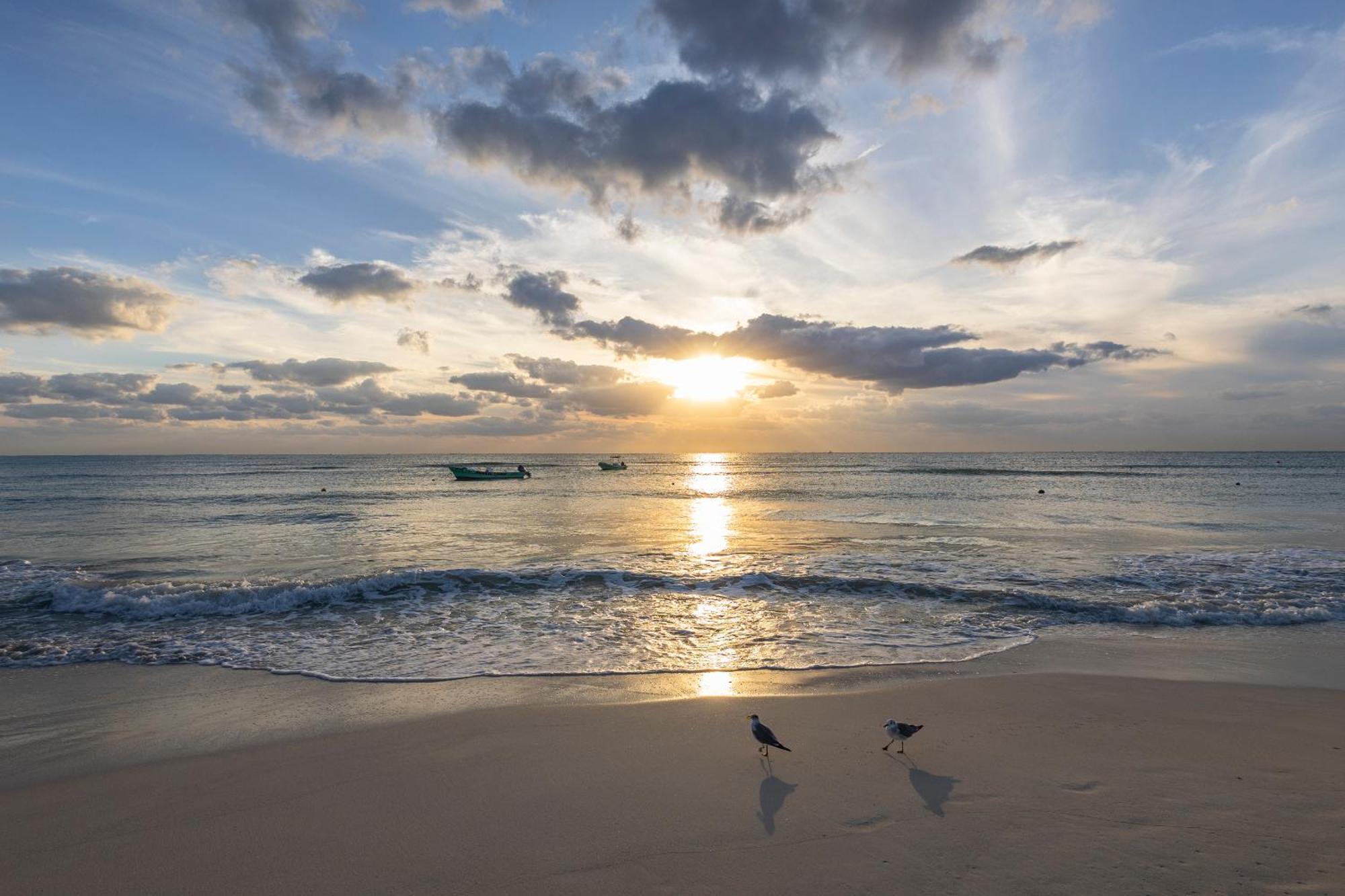 Areia - Front *