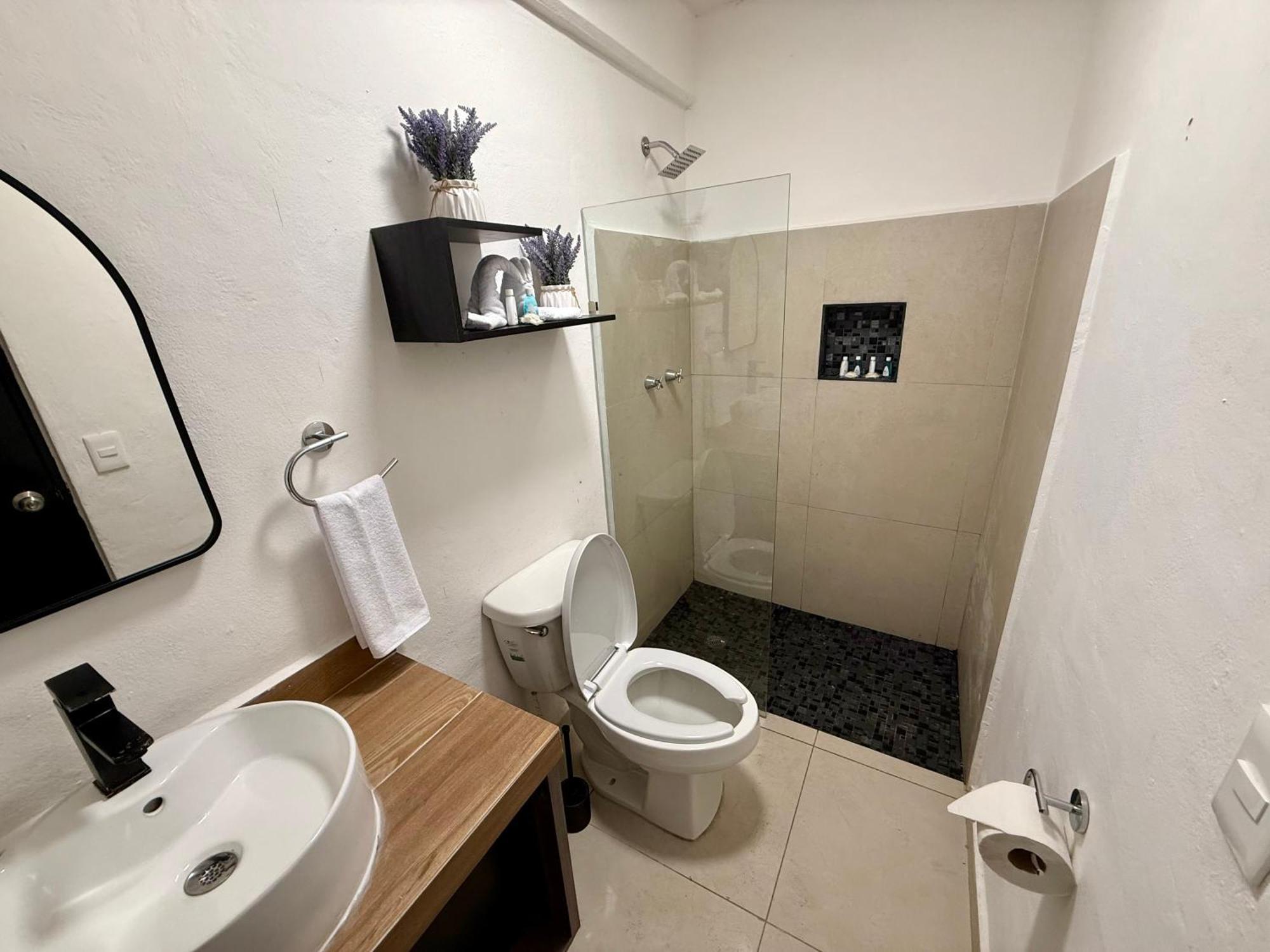 Casa Tortuga 5th Ave Hotel 5*