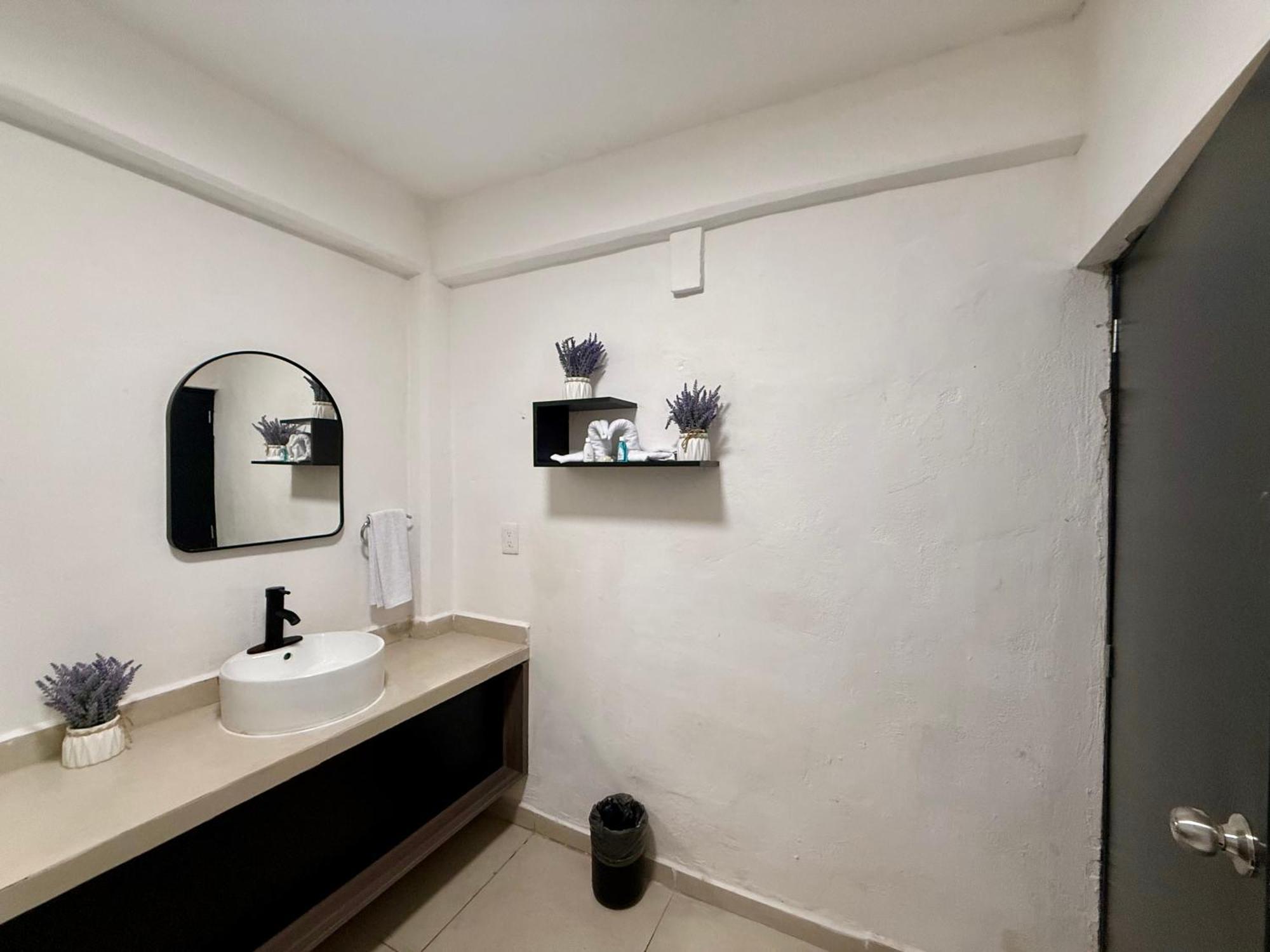 Hotel Casa Tortuga 5th Ave 5*