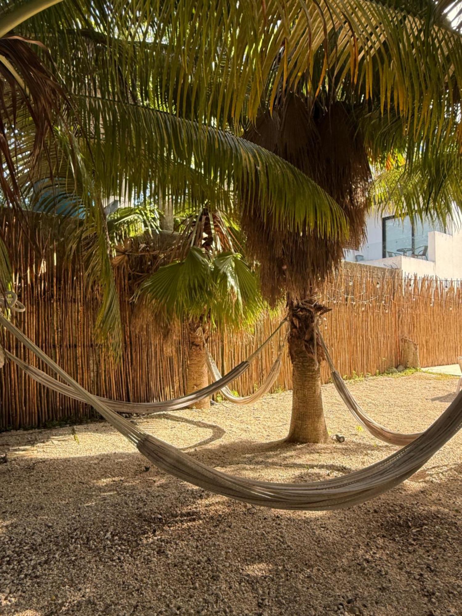 Casa Caiman * Playa del Carmen