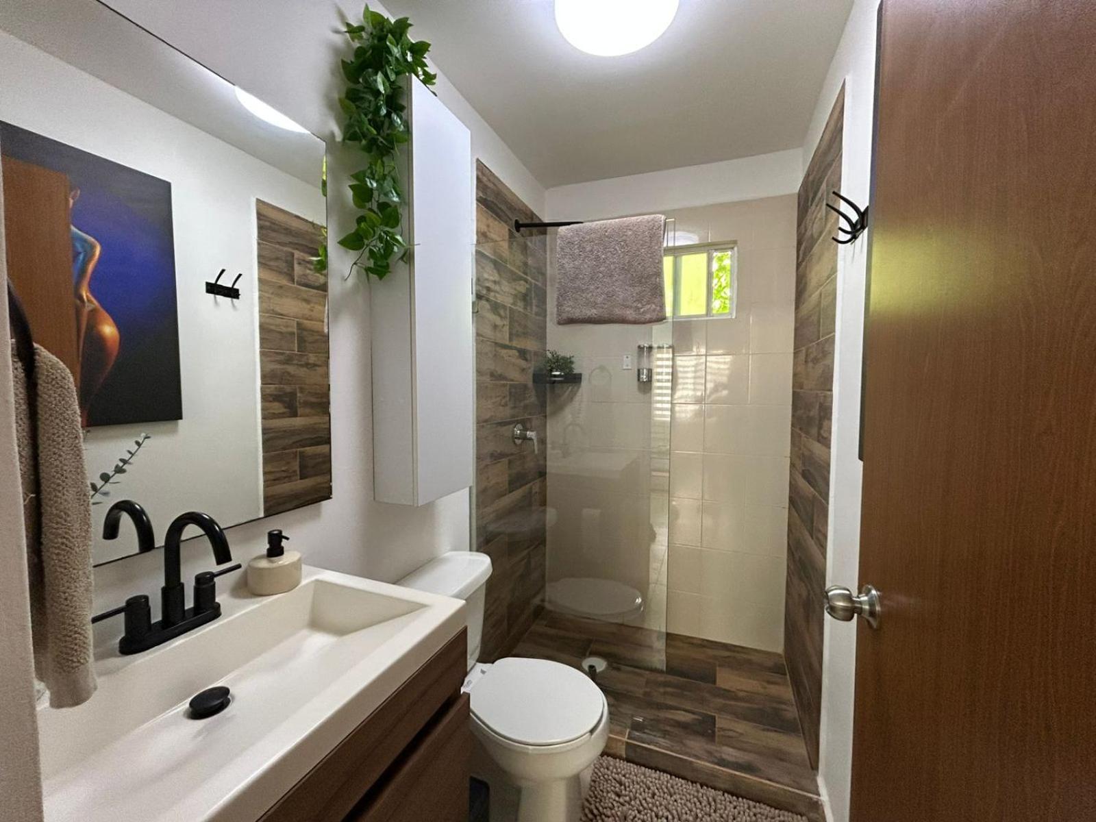 Apartment Torrent *