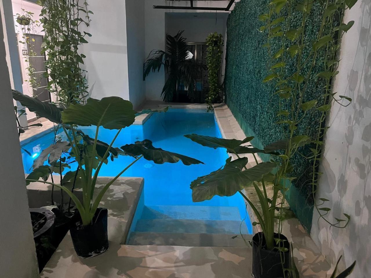 Playadelcarmen Apartment