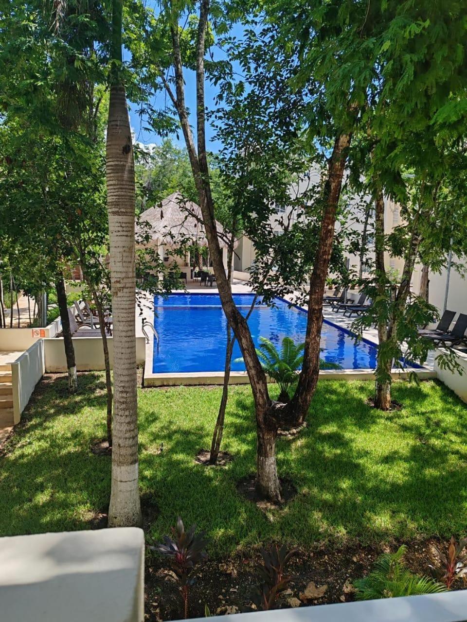 Apartment Modern Furnished Apartment, La Selva *