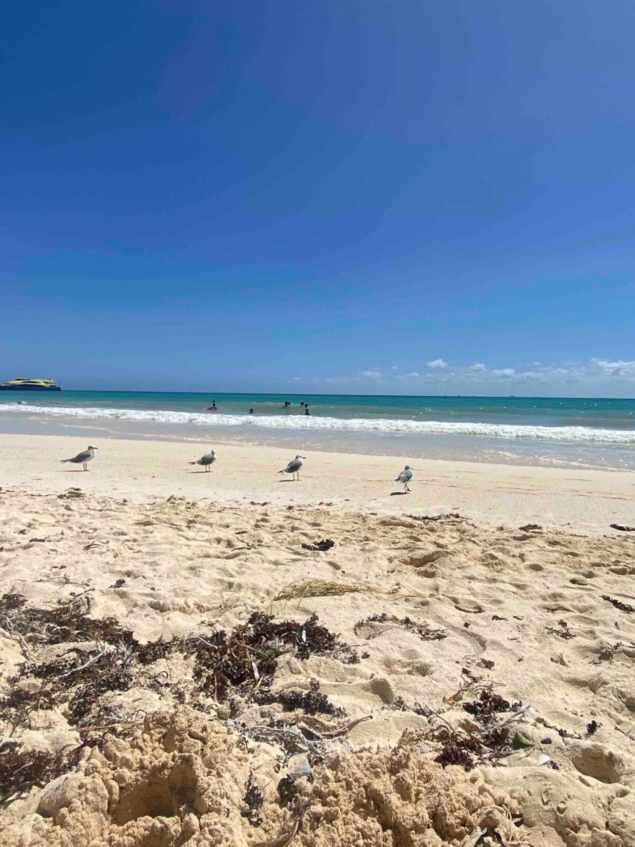 Playacar Master Suites, 2 Pools, Bbq, 5 Min Apartment