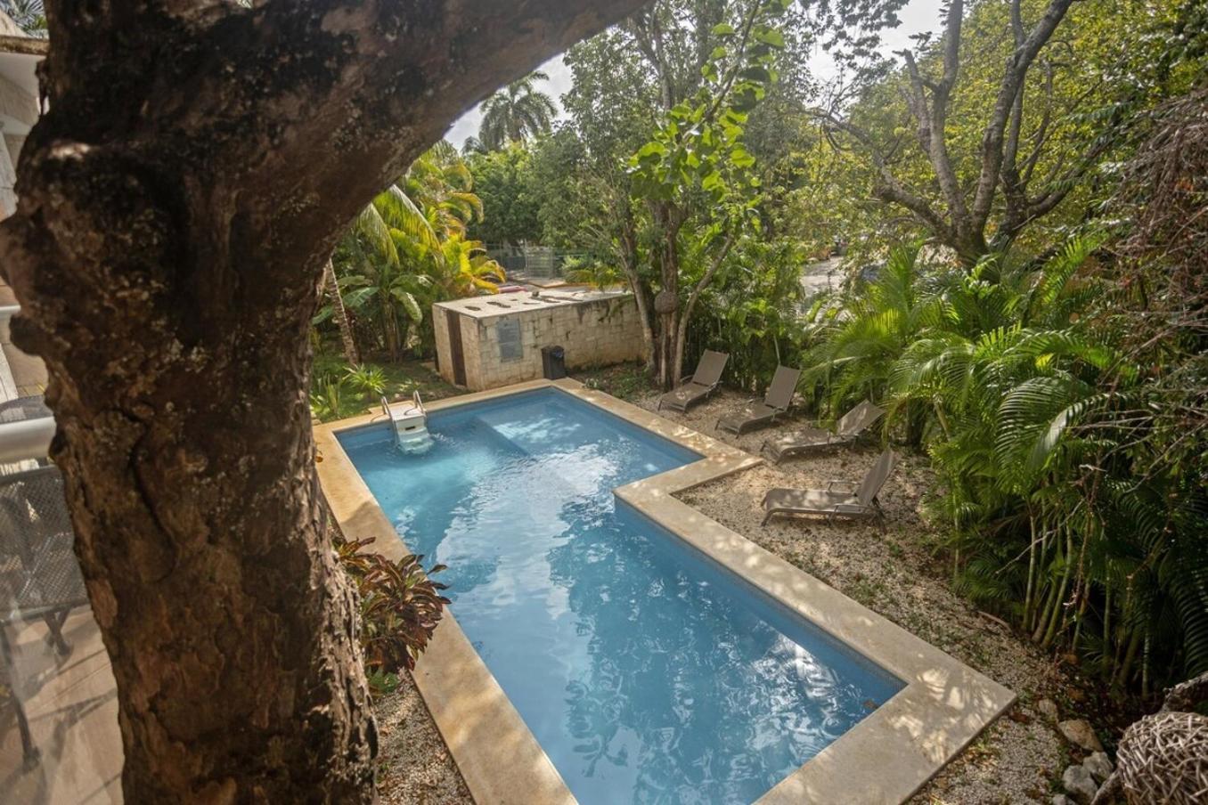 Playacar Master Suites, 2 Pools, Bbq, 5 Min Apartment