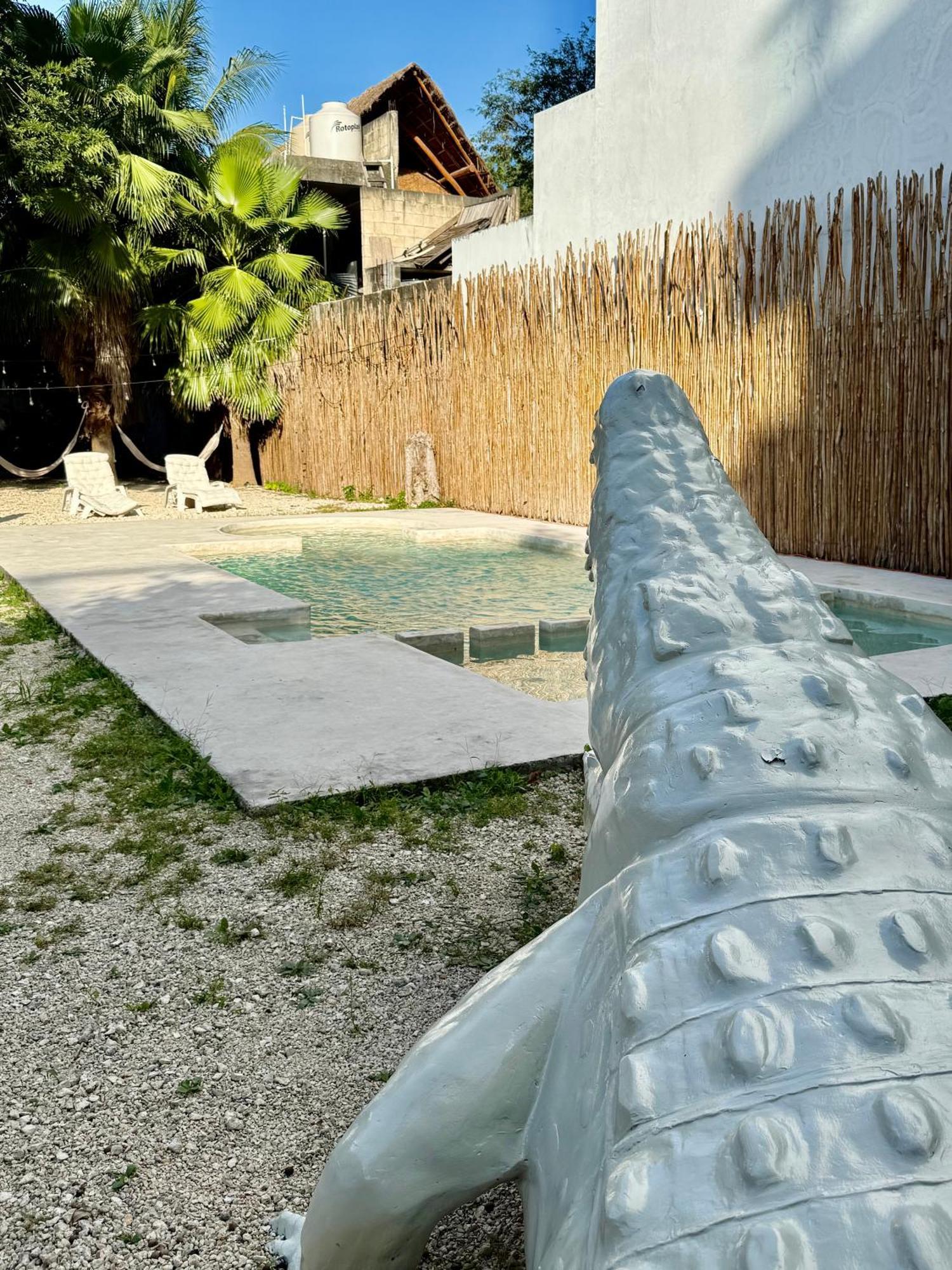 Casa Caiman Apartment *