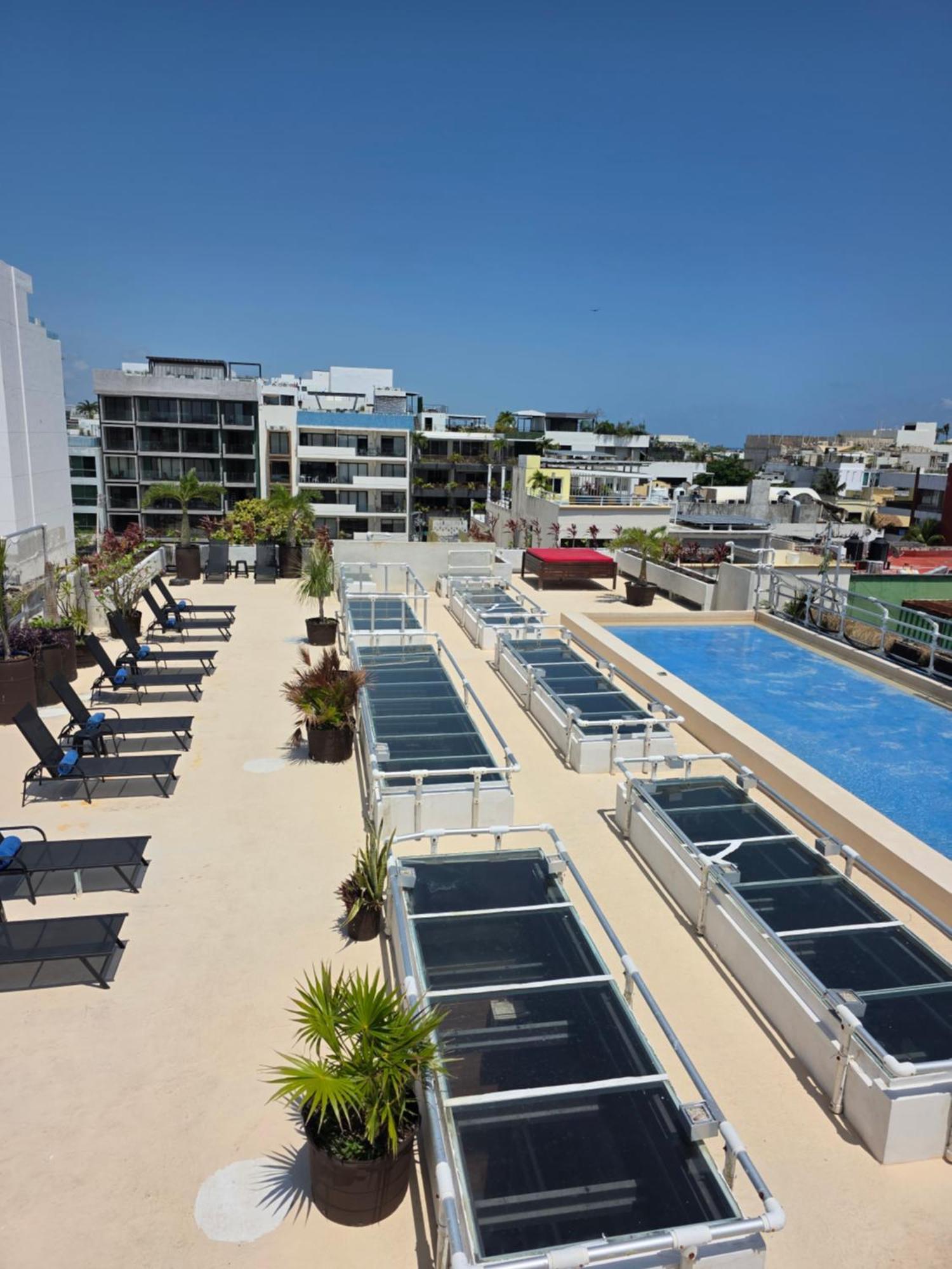 Reina Roja Hotel 4*
