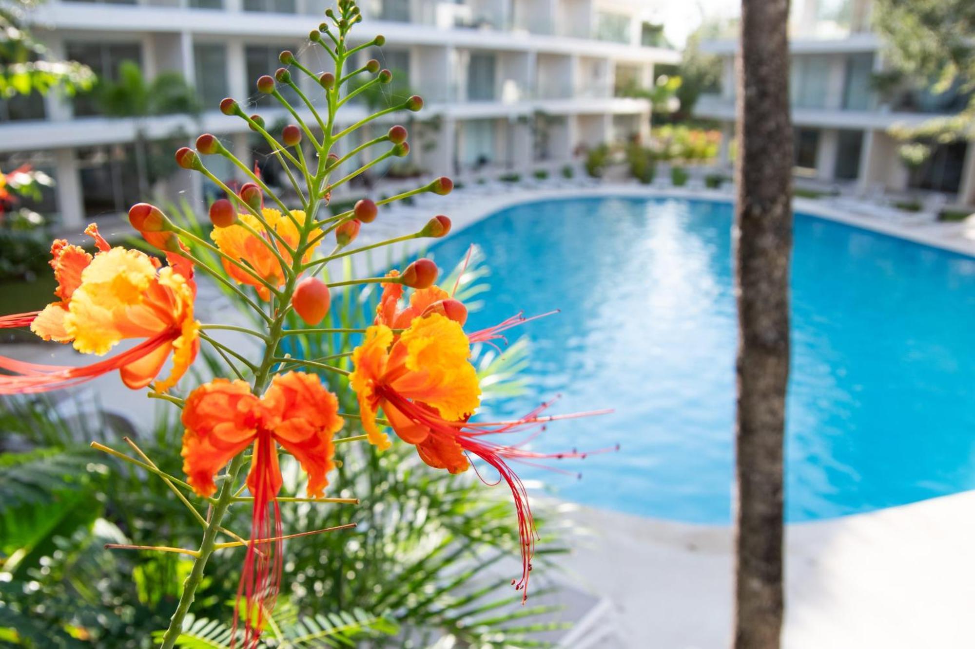 Mareva The Leaf, Luxury Retreat