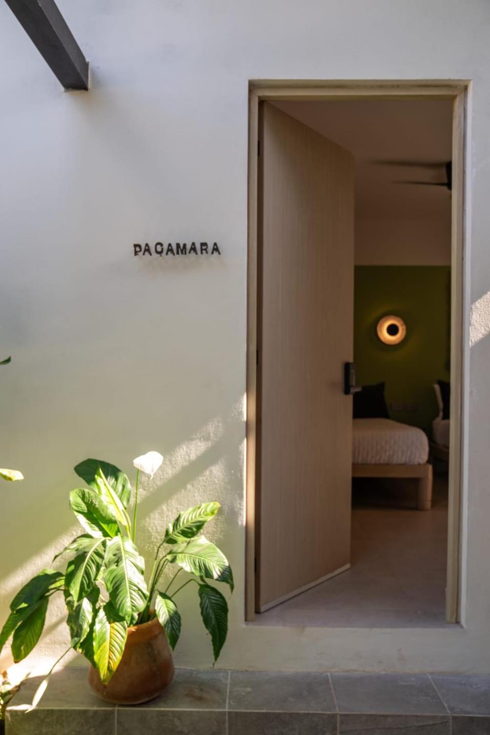 Parcela7 Cafe-hotel Hotel
