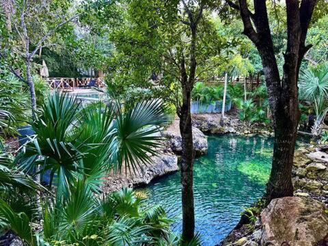 Cozy Getaway Shared Pool & Cenote Access