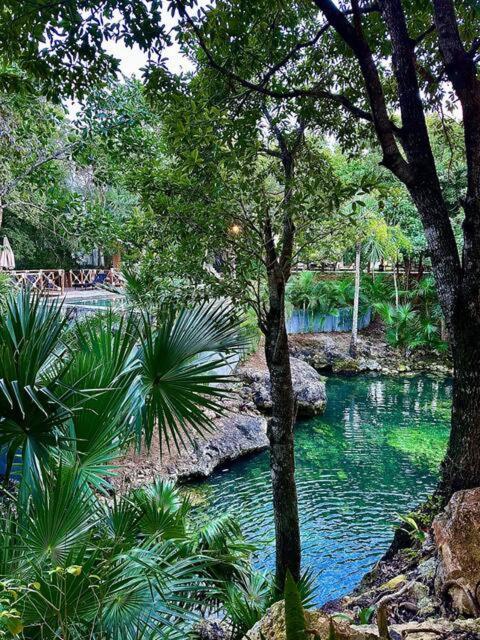 Cozy Getaway Shared Pool & Cenote Access Ferienhaus *
