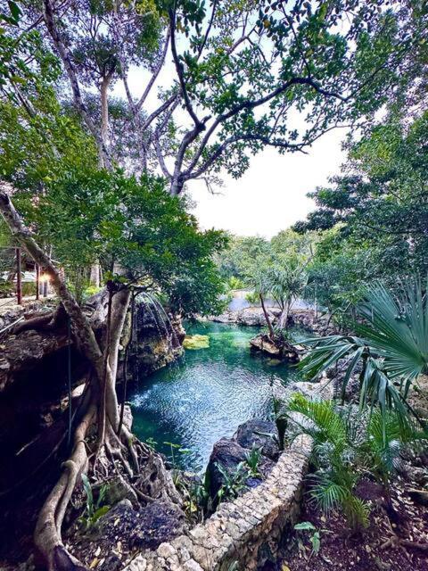 Cozy Getaway Shared Pool & Cenote Access * Playa del Carmen