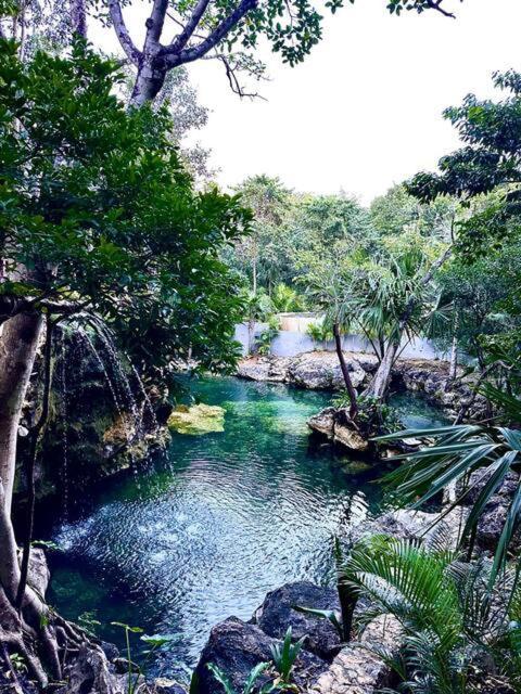 Cozy Getaway Shared Pool & Cenote Access Ferienhaus Playa del Carmen