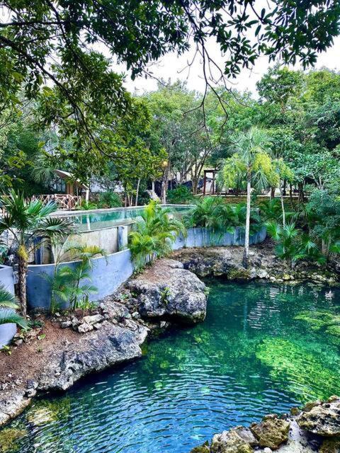 Cozy Getaway Shared Pool & Cenote Access *