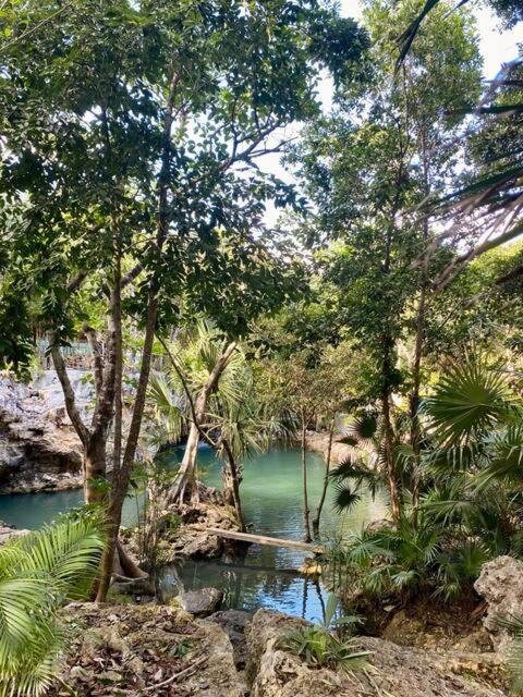 Cozy Getaway Shared Pool & Cenote Access Ferienhaus Playa del Carmen