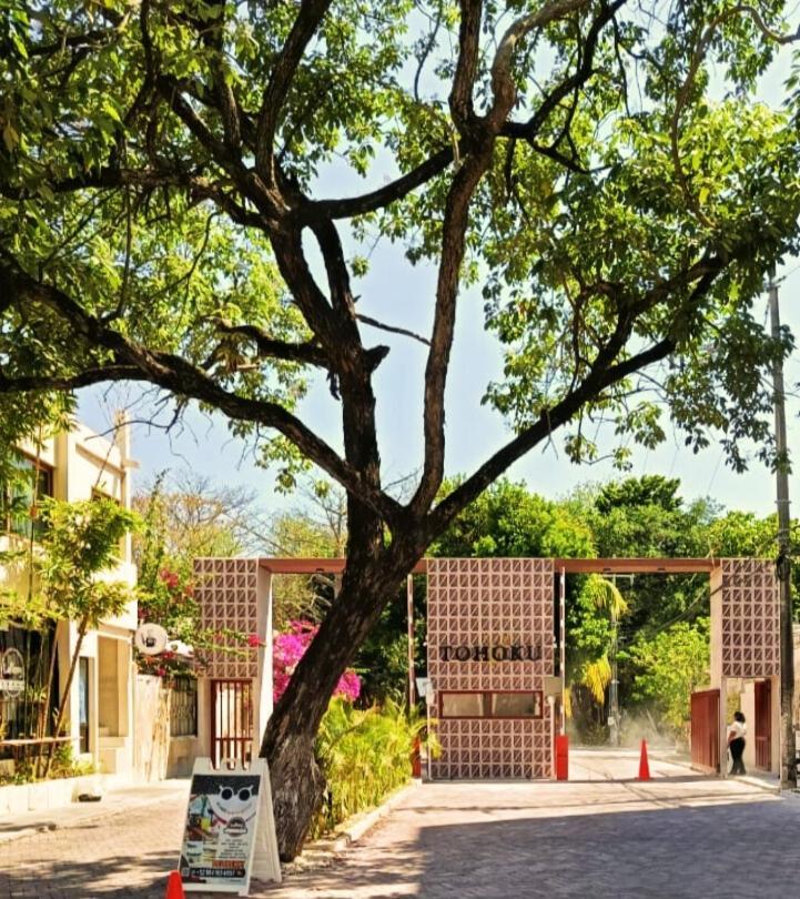 Casa Palmita Playa del Carmen