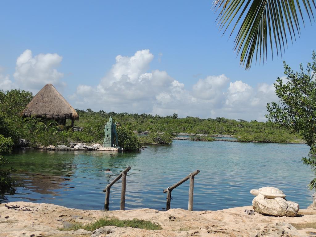 La Casa Del Mexicano Terraza Y Jardin Exoticos 12 Min Del Playa Esmeralda Playa del Carmen