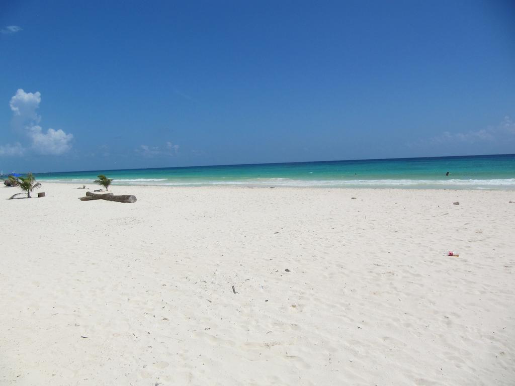 Villa Casa Moskito Playa del Carmen