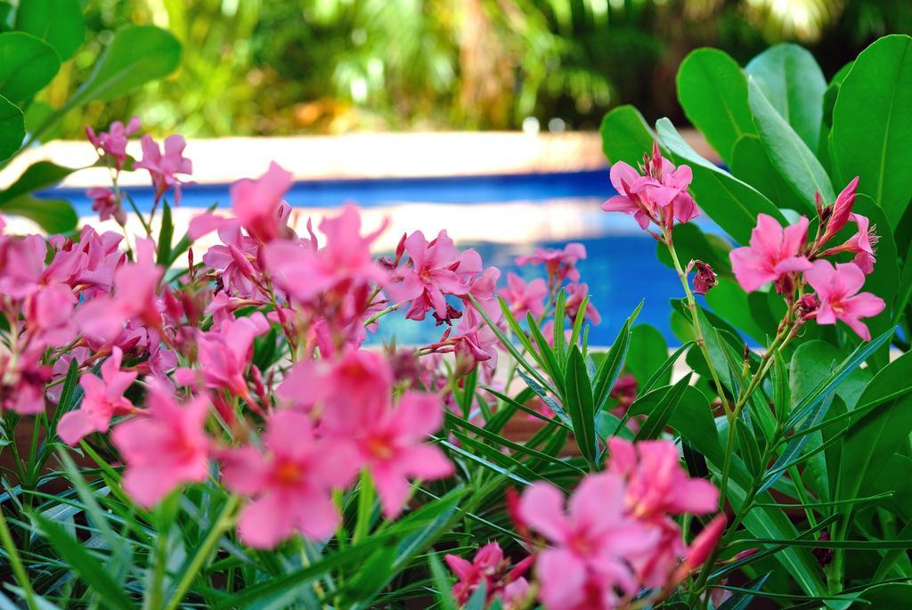 La Pasion Colonial Boutique By Bunik Playa del Carmen