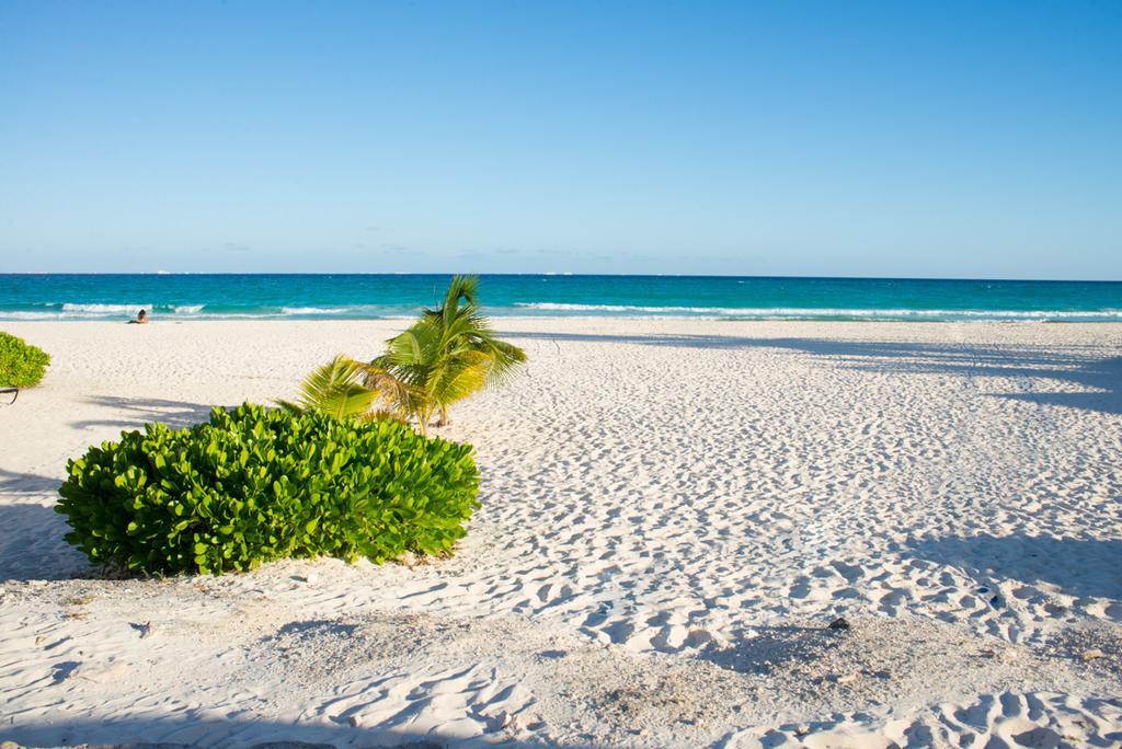 Ensueno * Playa del Carmen