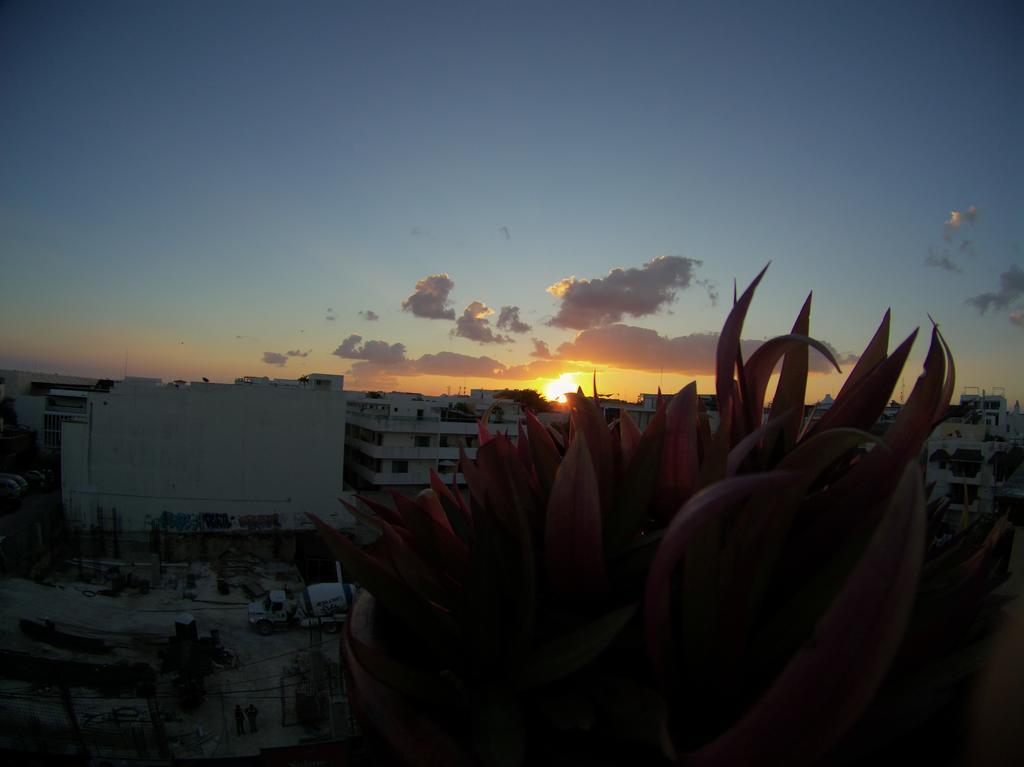 Playa Paradise Guest house