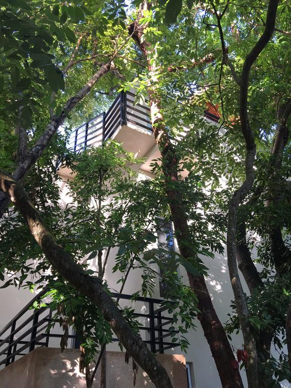 Arbolada Apartment