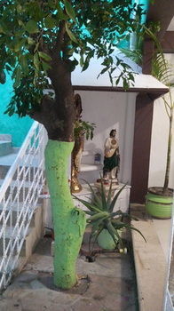 La Alegria 2* Playa del Carmen
