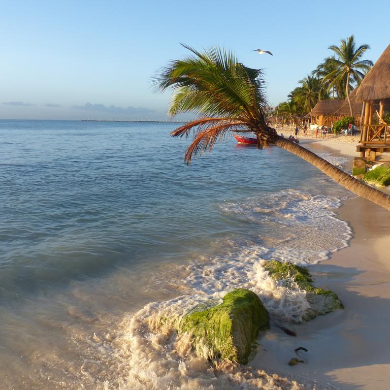 Lilas Del Mar Apartment Playa del Carmen