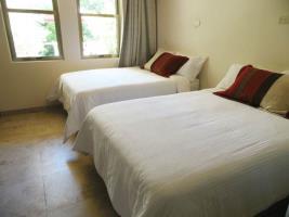 Hotel Mimosa Tree 3*