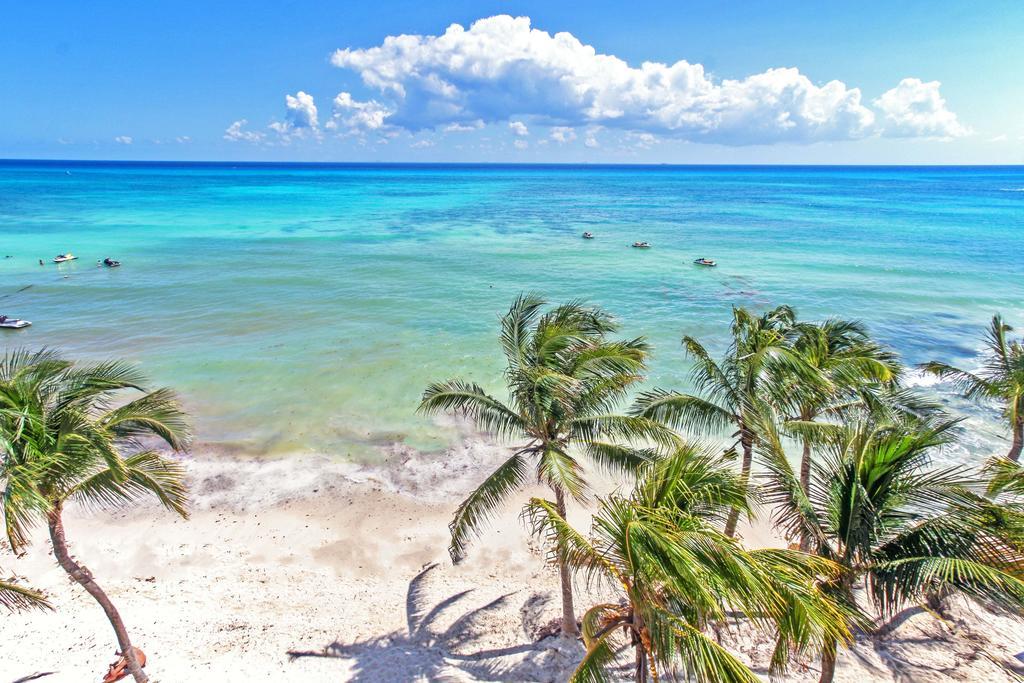 Beachfront Condo, 2 Bedroom - Ocean View At Corto Maltes Appartement *