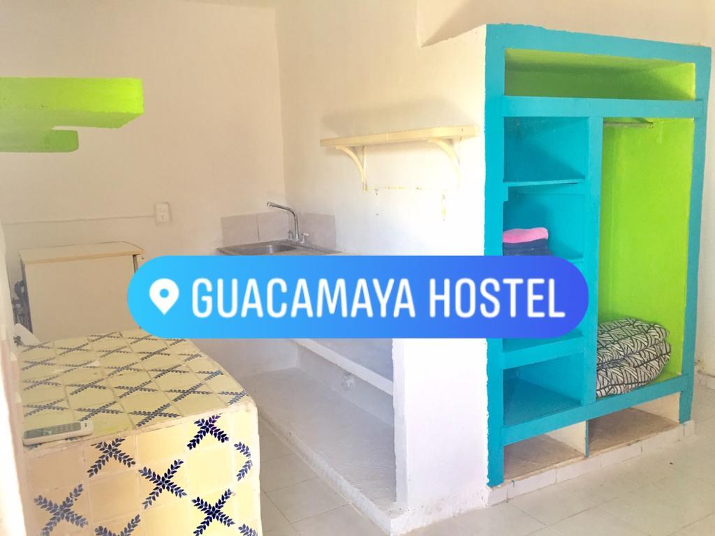 Guest house Guacamaya *