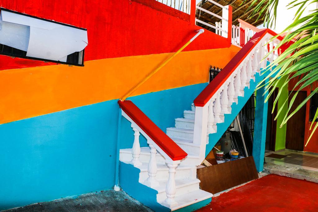 Guest house Guacamaya