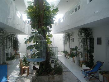 Cocodrilo 3*