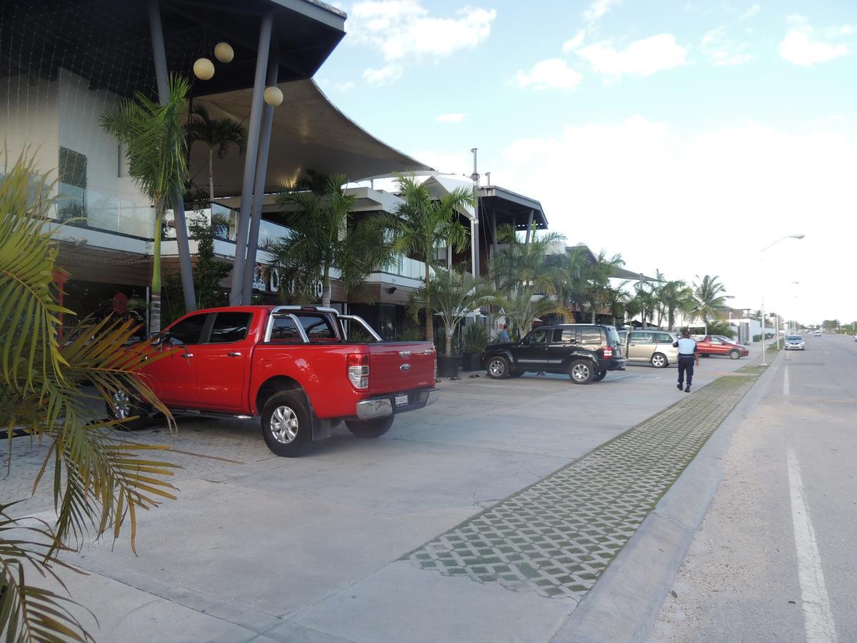 La Casa Del Mexicano Terraza Y Jardin Exoticos 12 Min Del Playa Esmeralda Сasa de vacaciones