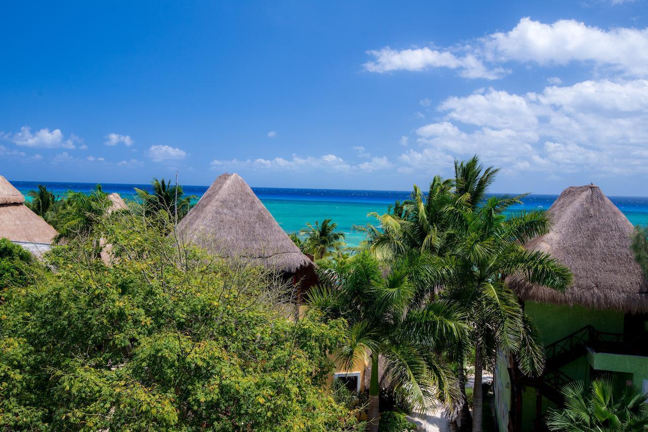 Secret Paradise Apartment