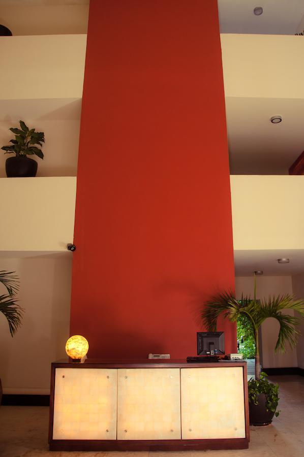 Apartment Secret Paradise *