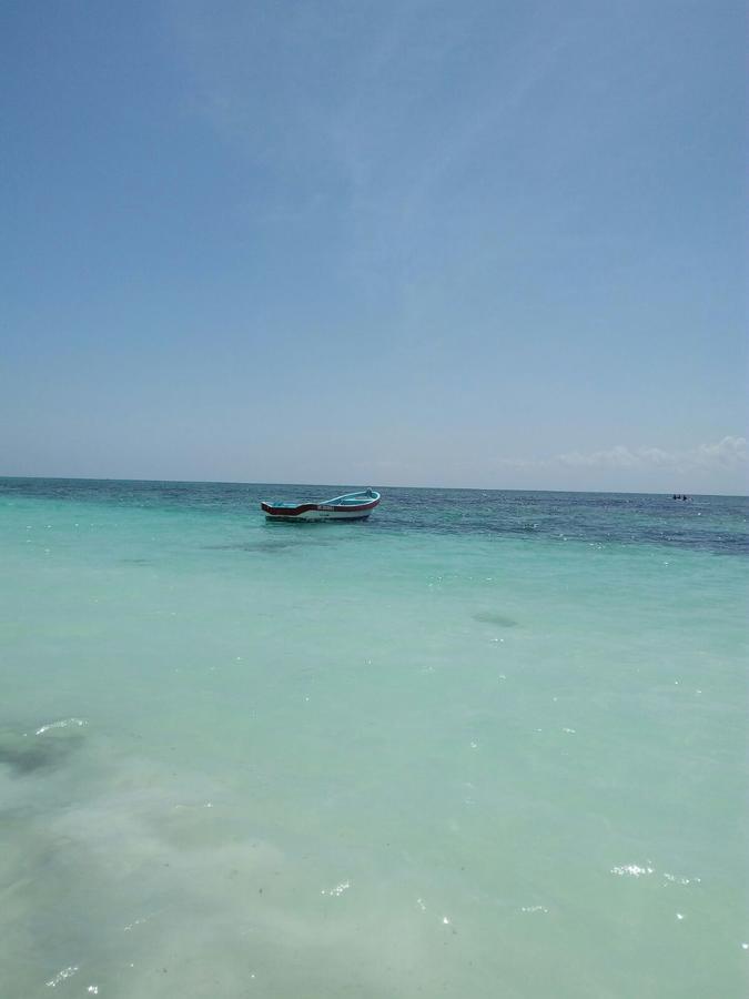 Pelicanos *