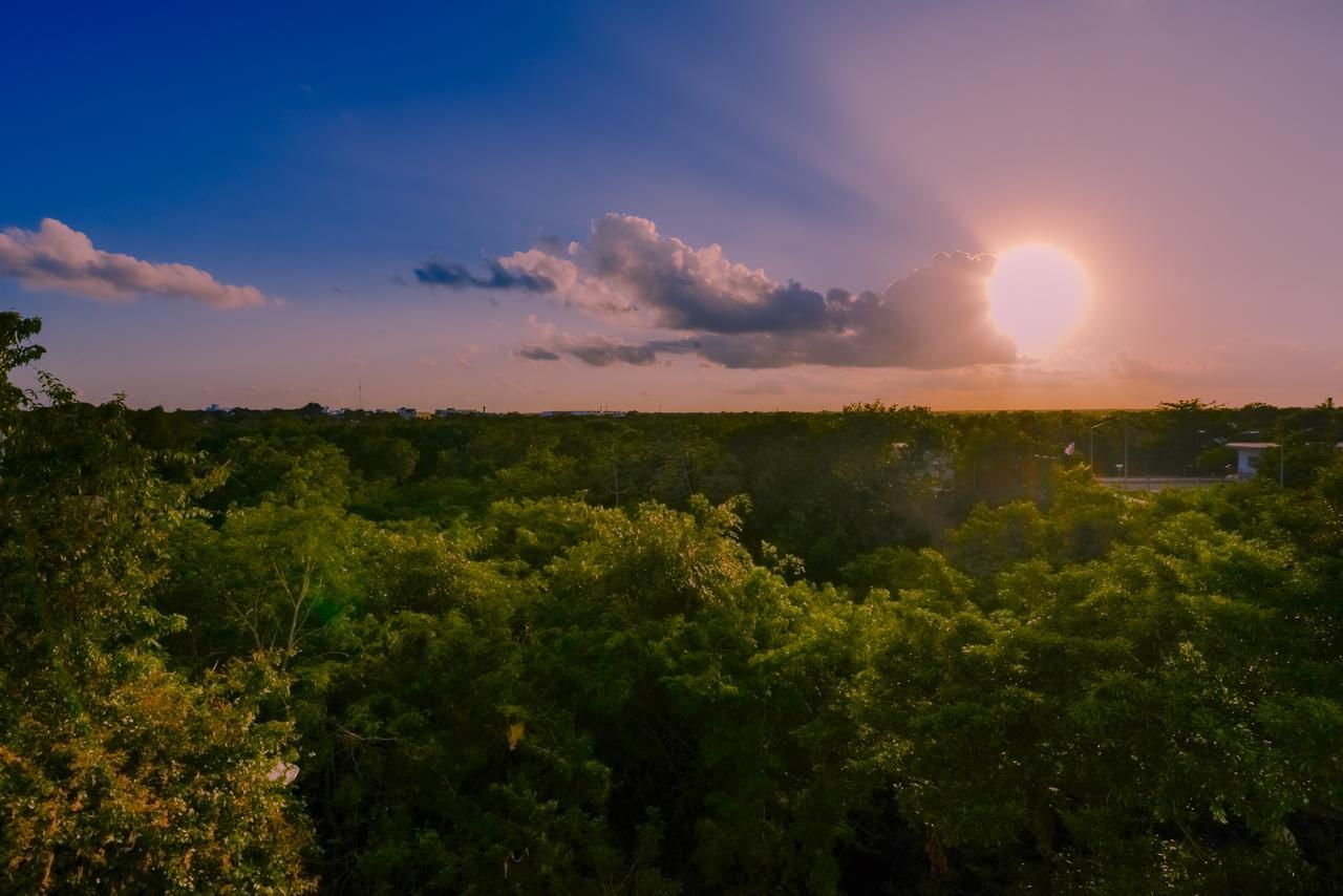 Casa Del Arbol Appartement Playa del Carmen