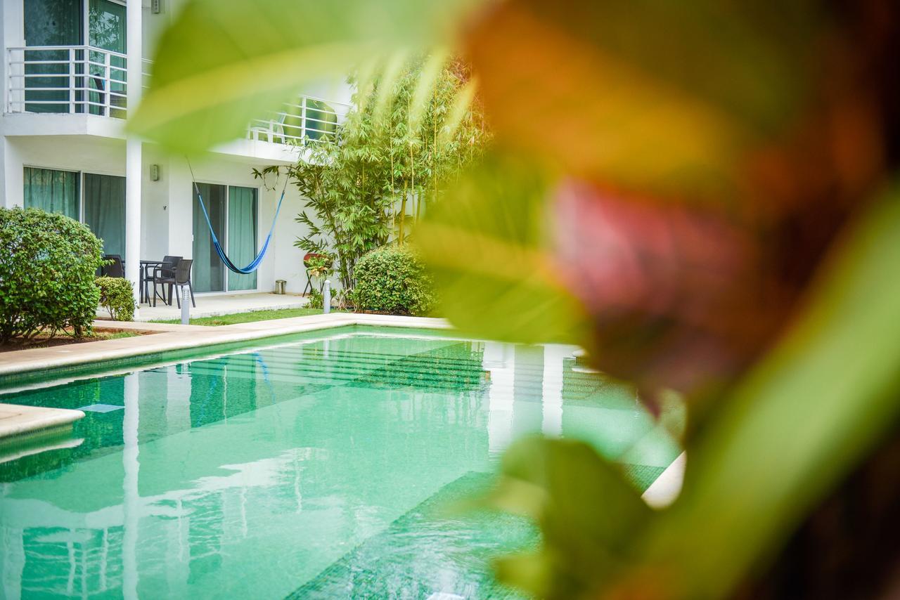 Bed & Breakfast Pelicanos