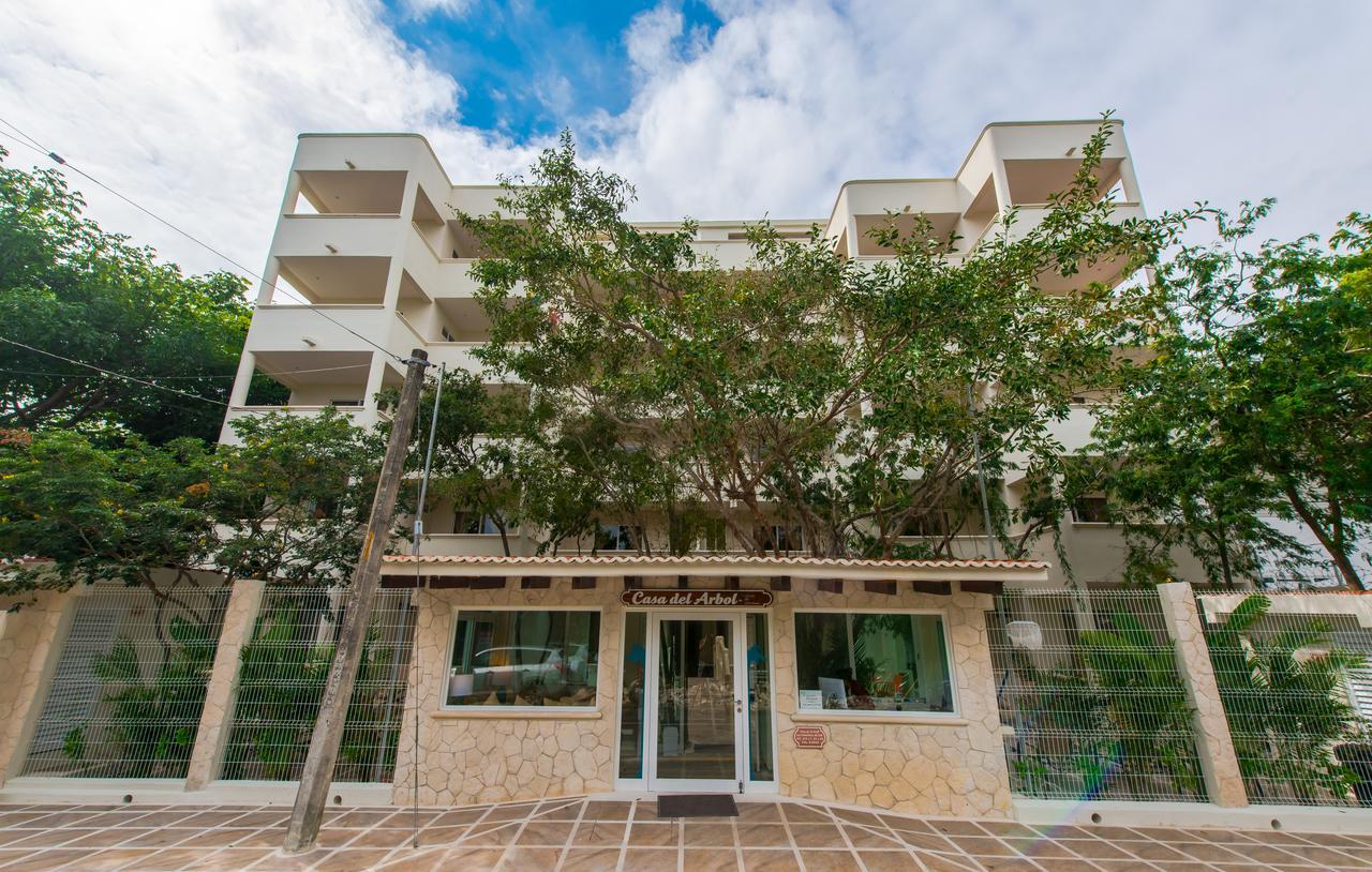Casa Del Arbol Apartment *