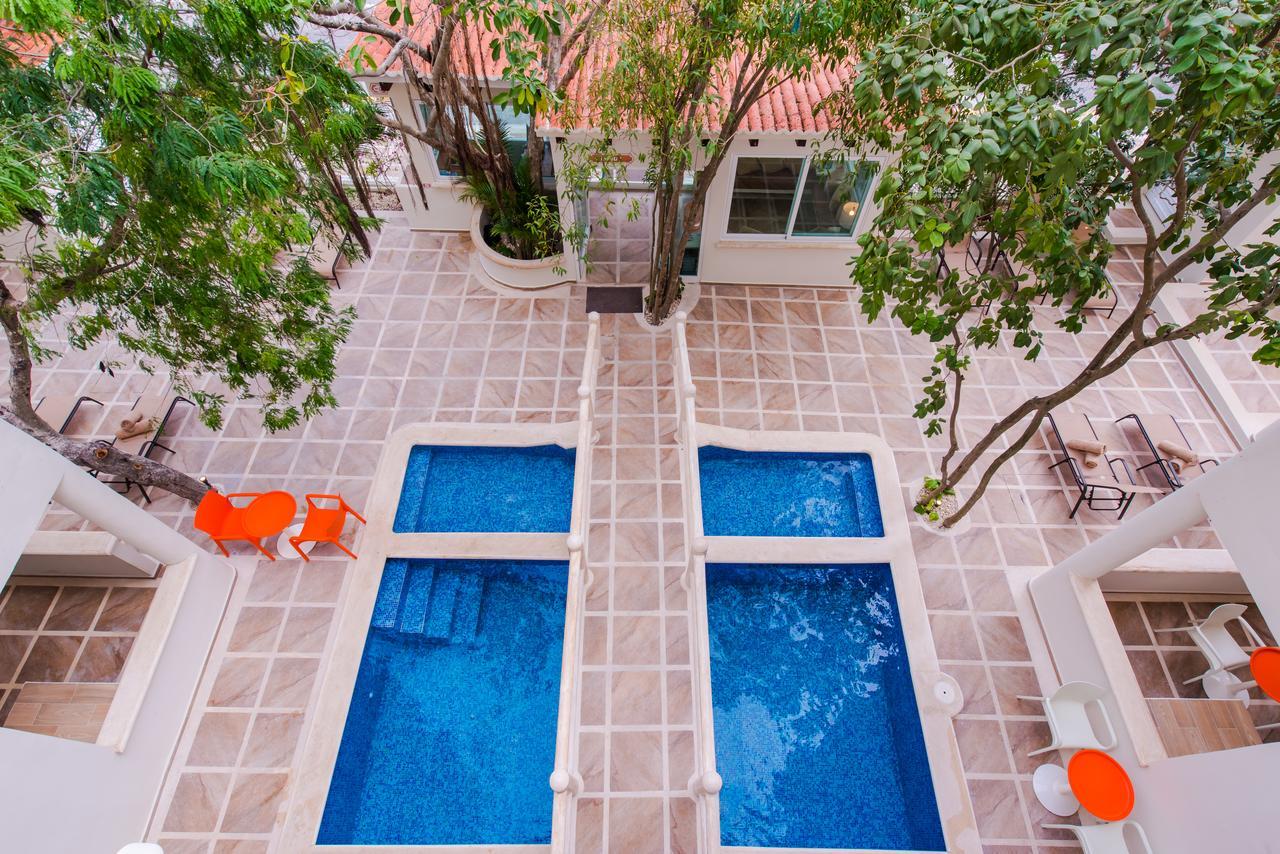 Casa Del Arbol Apartment *