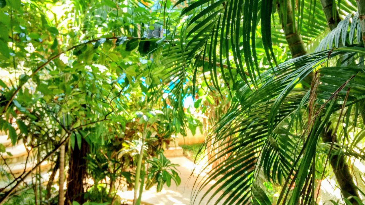 Maya Vacanze Playa Alegria Bed & Breakfast 3*