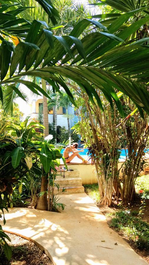 Maya Vacanze Playa Alegria Bed & Breakfast 3*