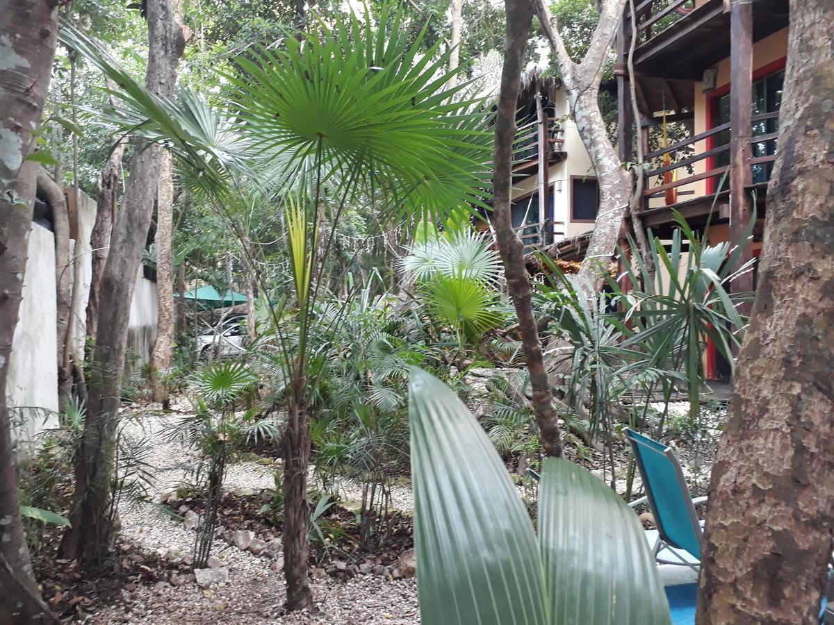 Dolce Caribe Xcaret Bed & Breakfast Playa del Carmen