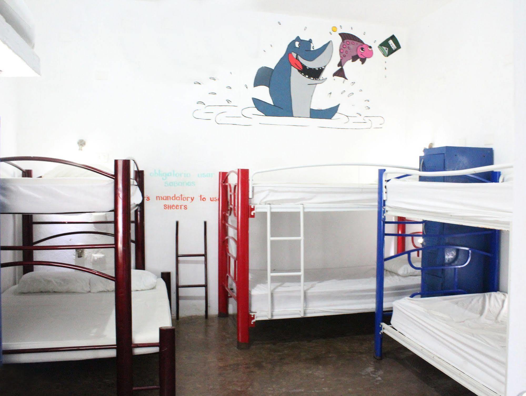 Hostel Vive La Vida Playa del Carmen