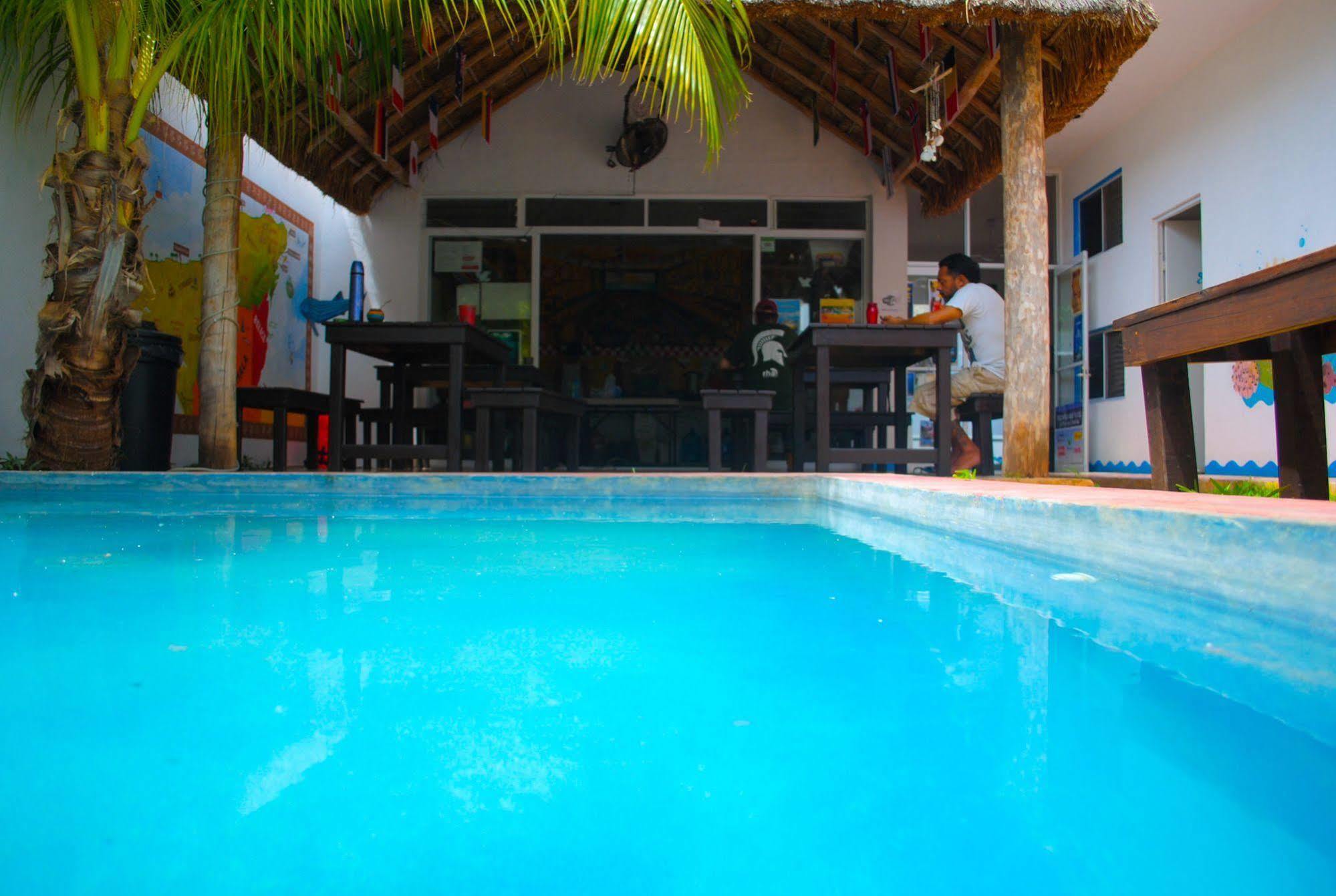 Hostel Vive La Vida