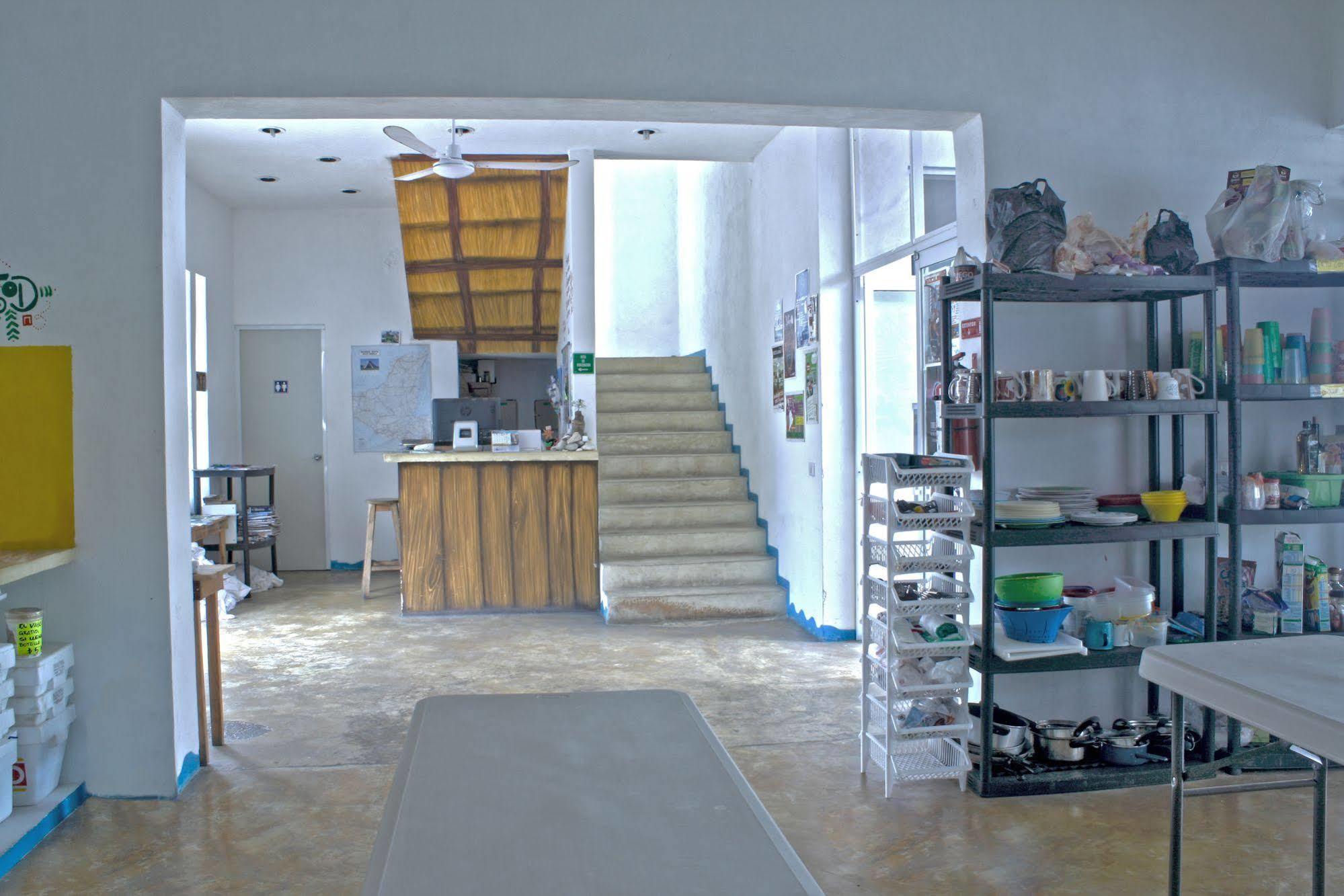 Hostel Vive La Vida *