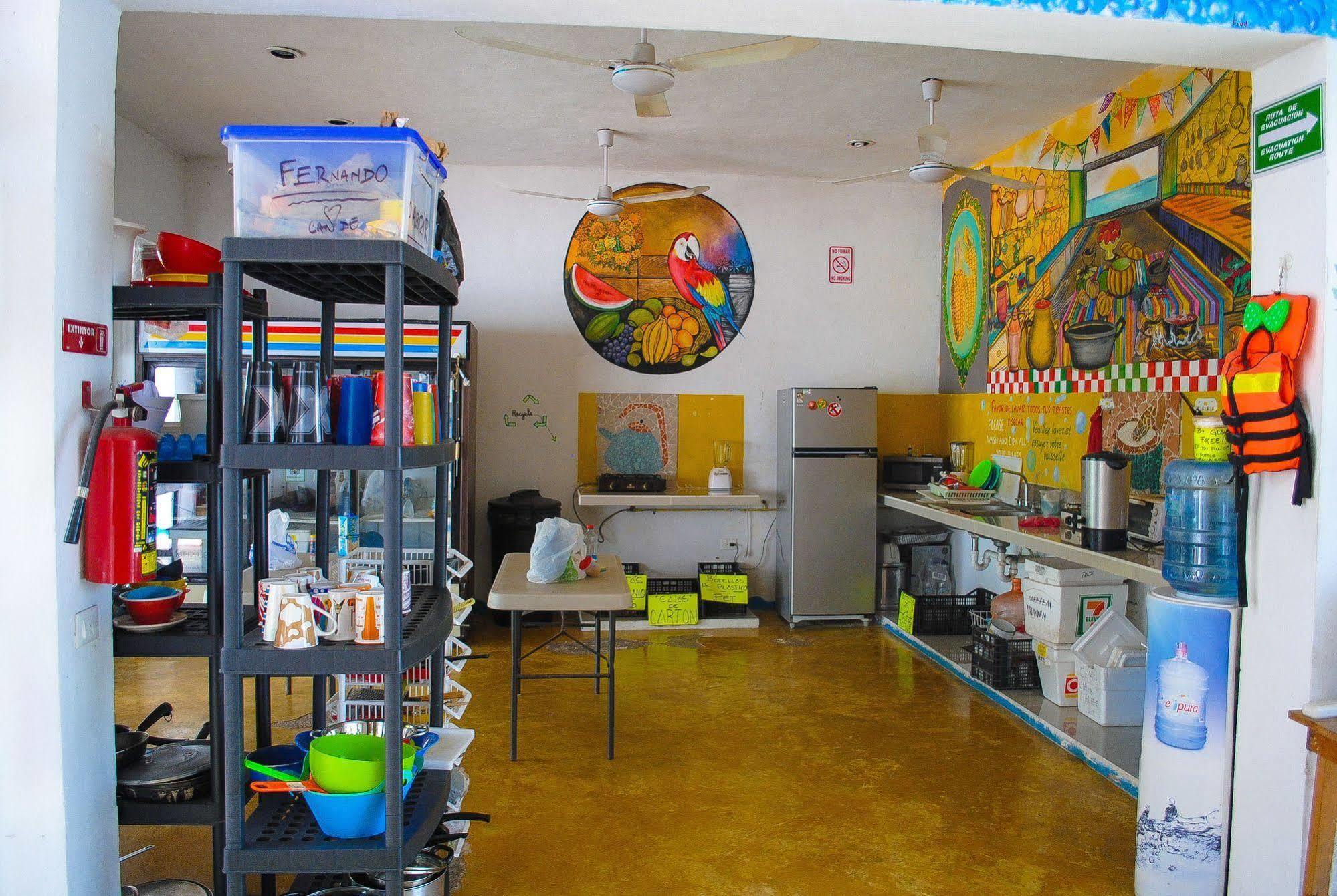 Vive La Vida Hostel