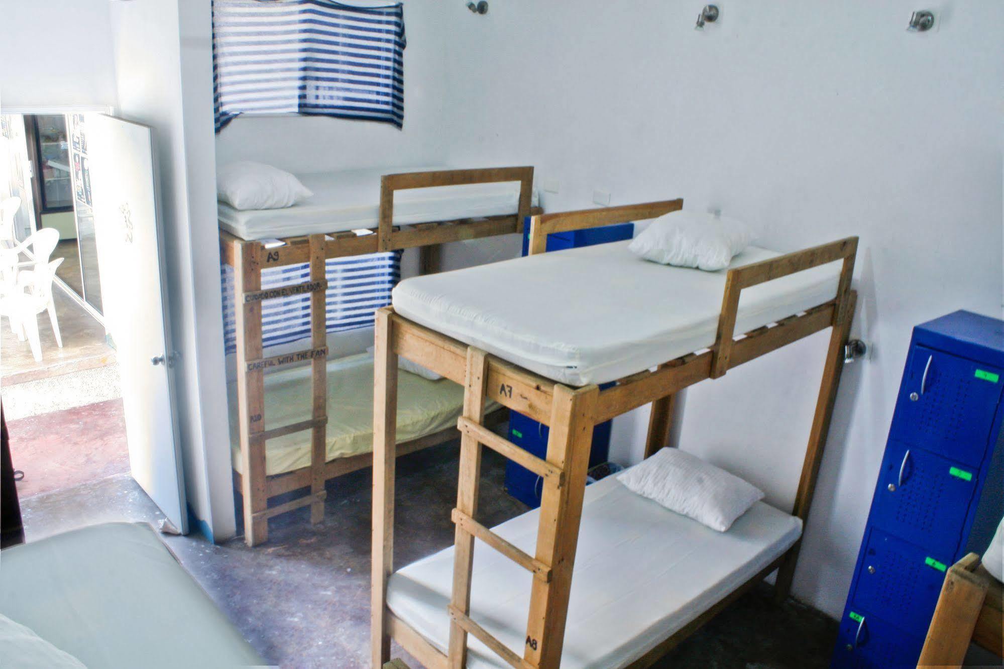 Hostel Vive La Vida *